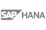 SAP Hana